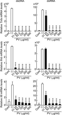 Innate Immune-Modulatory Activity of Prunella vulgaris in Thyrocytes Functions as a Potential Mechanism for Treating Hashimoto’s Thyroiditis